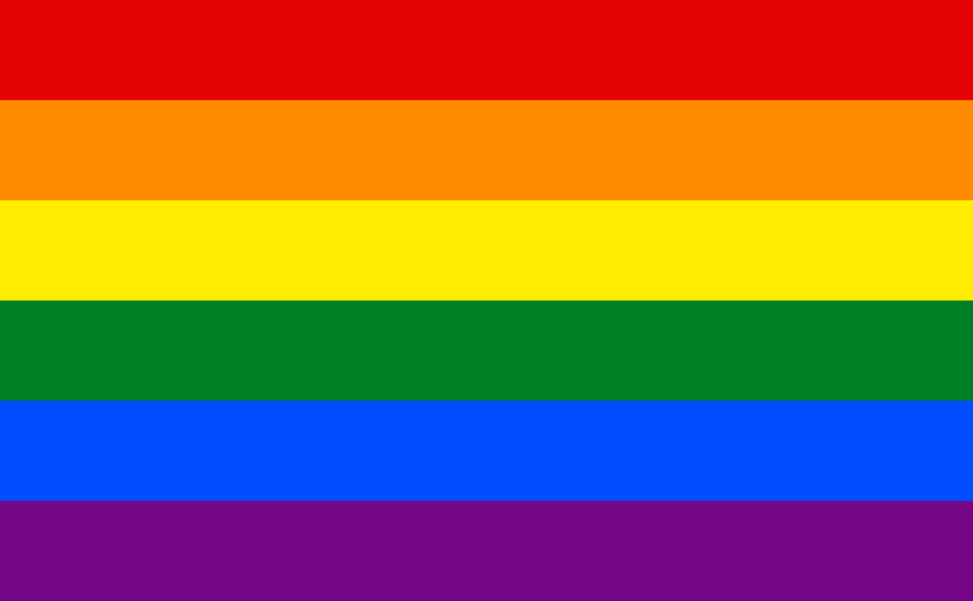 A pride flag. It has 6 stripes: in order, red, orange, yellow, green, blue, and purple.
