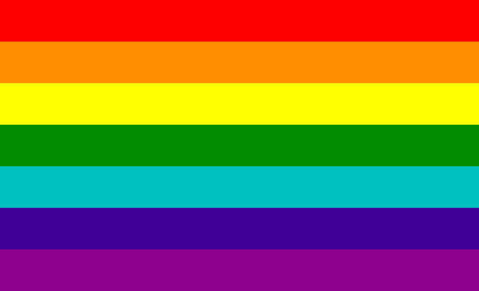 A pride flag. It has 7 stripes: in order, red, orange, yellow, green, cyan, dark blue, and purple.